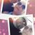 Nicole Nikki's profile image