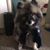 Amy Frechette's profile image