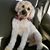 Sherry Nagy's profile image