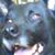Kimberly Vedrinski's profile image