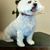 Linda Blackwell's profile image