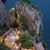 Erica Olsen-Leslie's profile image