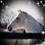 Rae Carson's profile image