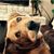 Stacy Garland Hicks's profile image