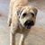 Jennifer Winchenbach Bolton's profile image