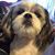 Maylene Madick's profile image