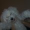 Stine D.'s profile image