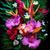 Susan Patin Crawford's profile image