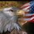 Mark F. Seaman's profile image