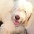 Jenifer Marrs's profile image
