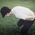 Daiki Iwasaki's profile image