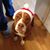 Diane Sumner Kur's profile image
