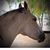 Linda Goodwin-Teten's profile image