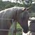 Angel Mills Moore's profile image