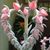 Diana Doyle's profile image