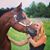 Emily Marschand's profile image