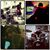 Rolando Pardo's profile image