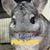 Daniel Lundquist's profile image