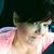 Angeilla Diane Guthrie Dolberry's profile image