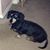 Melissa Salseda's profile image