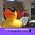 Cammie Trapolino's profile image