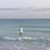 Sandy Mays Woodford's profile image