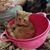 Marie Anderson's profile image