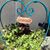 Debra Bourque's profile image