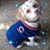 Martha Marty Ybarra's profile image