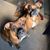 Sharon Fridy West's profile image