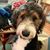 Cheralyn Banks-wille's profile image