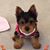 Jennifer Gibilisco-Wolfgram's profile image