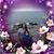 Kimberley Ricker's profile image