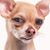 Kelly Morris-Carson's profile image