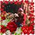 Nancy Lynn's profile image