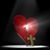 Yolanda Espinosa's profile image