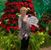 Cheryl Basco Martin's profile image