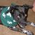 Diane Edwards McCredie's profile image