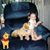 Emily Ann Troutman's profile image