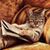 Tari Lynn's profile image