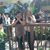 Danielle Ashelyn Petrey's profile image