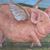 Susan Turner's profile image