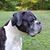 Sylvia Metzger's profile image