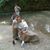 Victor Sostre's profile image