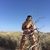 Felicia Bechtel's profile image
