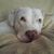 Stefanie Aiello's profile image