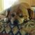 Regina Williams's profile image