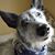 Susan Lee's profile image