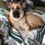 Mary Beth Bracken's profile image