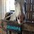 Frank Donald Mcfarland Sr's profile image